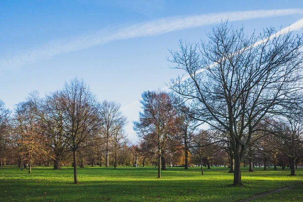 Bäume Und Landschaft Hyde Park London Großbritannien — Stockfoto