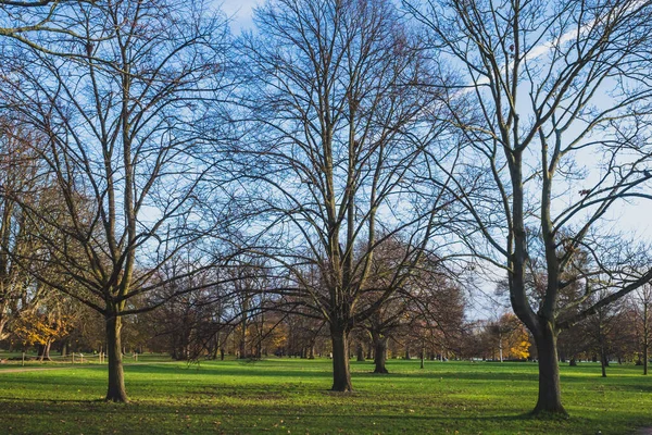 英国伦敦海德公园的树木和景观 — 图库照片