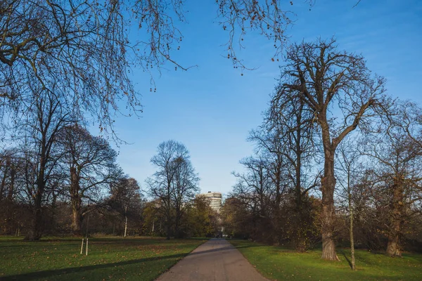 イギリス ロンドンのハイドパークにある木の間の道 — ストック写真