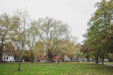 Londra, İngiltere - 25 Ekim 2020: Fulham 'daki Parsons Green' de oynayan çocuklar