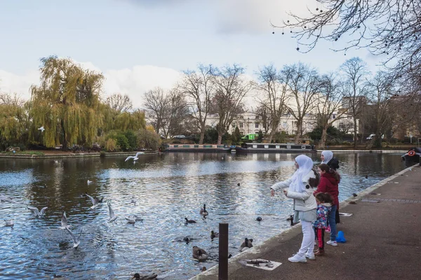 Londra Ngiltere Aralık 2020 Aile Küçük Venedik Kuş Ördekleri Suda — Stok fotoğraf
