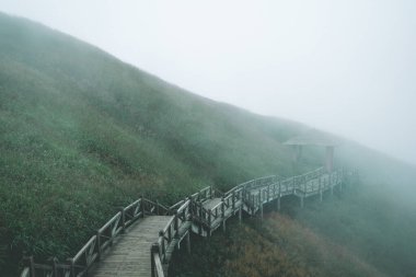Çin 'in Jiangxi şehrinde Wugong Dağı' nda (Wugongshan) sisle kaplı çayırların arasındaki tahta yol.