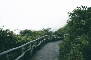 Jiangxi, Çin 'deki Wugong Dağında (Wugongshan) ağaçların arasındaki patika