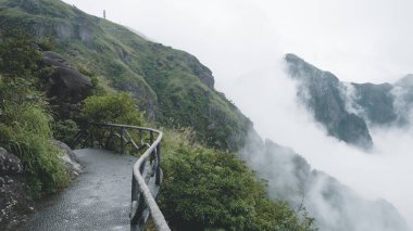 Jiangxi, Çin 'deki Wugong Dağında (Wugongshan) ağaçların arasındaki patika