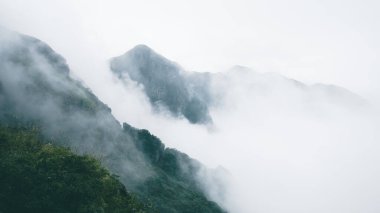 Jiangxi, Çin 'deki Wugong Dağı' nın (Wugongshan) tepesinde sisle kaplı bir dağ sırtı.