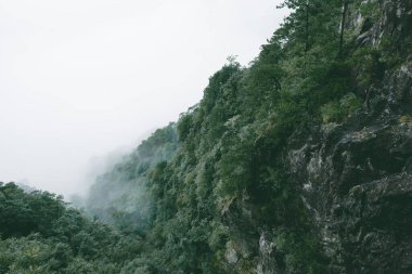 Jiangxi, Çin 'deki Wugong Dağı' nın tepesinde bulutlarla kaplı bir dağ.