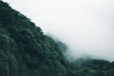 Jiangxi, Çin 'deki Wugong Dağı' nın tepesinde bulutlarla kaplı bir dağ.