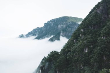 Jiangxi, Çin 'deki Wugong Dağı' nın tepesinde bulutlarla kaplı bir dağ.