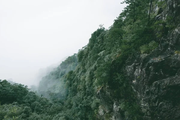 江西乌公山 乌公山 山顶上被云彩覆盖的山 — 图库照片