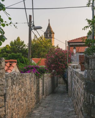 Hırvatistan 'ın Cavtat kasabasındaki evlere uzanan taş duvarlar arasındaki yol