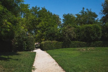 İtalya, Venedik 'te Vergini Parkı' ndaki ağaçlar arasında yol