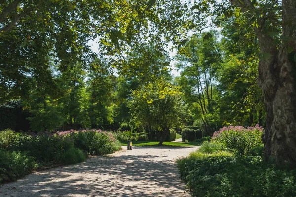 ヴェネツィア イタリアのヴェルジーニ公園の木の間の道 — ストック写真