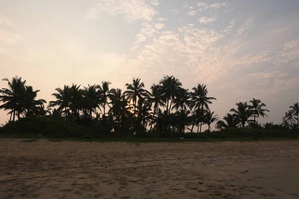 Coconut trees against sunrise background at Varca Beach Goa