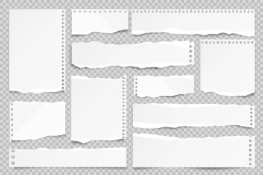 Yırtılmış kağıt şeritleri şeffaf arkaplanda izole edildi. Yırtık kenarlı gerçekçi kağıt kırıntıları. Yapışkan notlar, defter sayfalarının parçaları. Vektör illüstrasyonu.