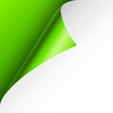 Yeşil kağıt kıvrılır. Gölgeli kıvrımlı sayfa köşesi. Boş bir kağıt parçası. Renkli parlak folyo. Reklam ve tanıtım için tasarım elemanı. Vektör illüstrasyonu.