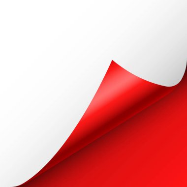 Kırmızı kağıt kıvrılır. Gölgeli kıvrımlı sayfa köşesi. Boş bir kağıt parçası. Renkli parlak folyo. Reklam ve tanıtım için tasarım elemanı. Vektör illüstrasyonu.