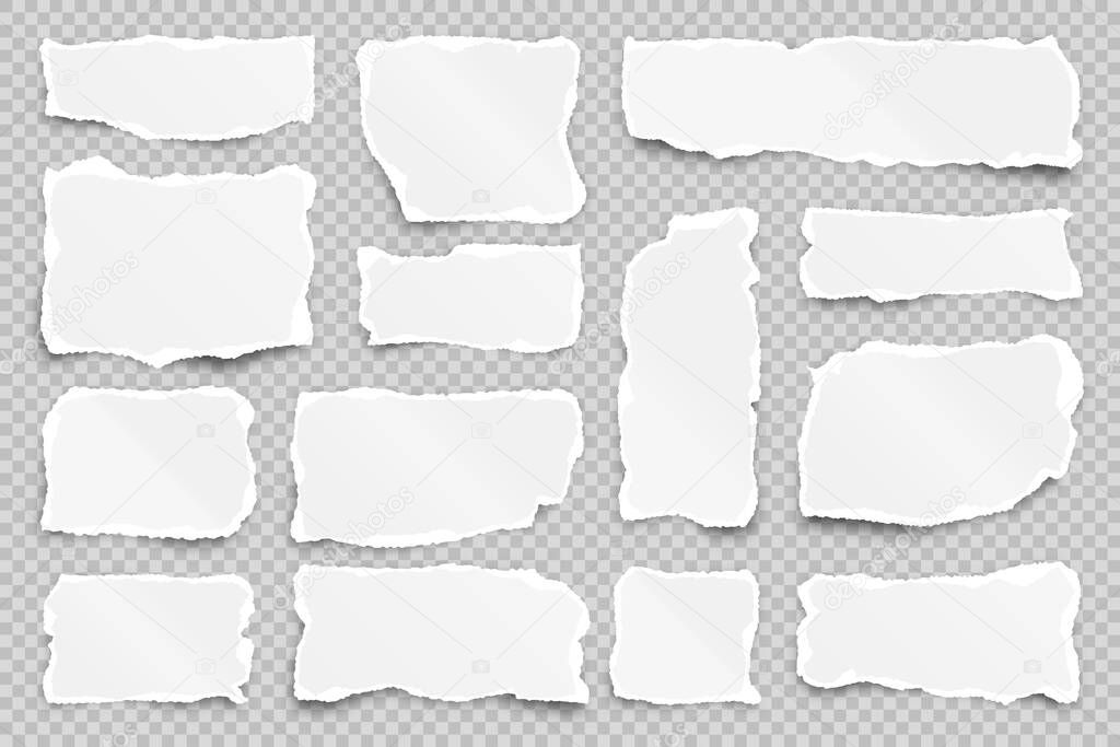 Ripped paper strips on transparent background. Realistic crumpled paper scraps with torn edges. Shreds of notebook pages. Vector illustration.