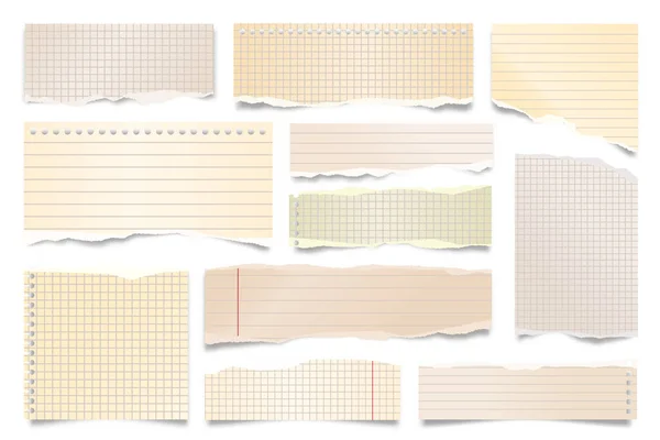 Colorful ripped paper strips isolated on white background. Realistic lined paper scraps with torn edges. Sticky notes, shreds of notebook pages. Vector illustration. — Stock Vector