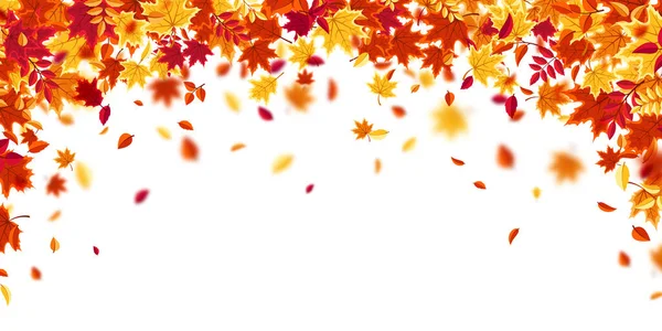 秋の紅葉。赤、オレンジ、黄色の葉を持つ自然背景。葉が飛んでる。シーズン販売。ベクターイラスト. — ストックベクタ