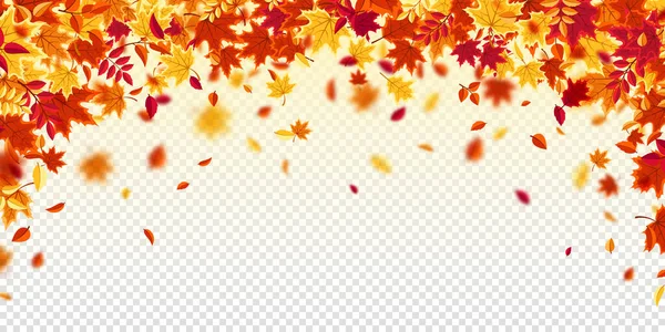 Hojas de otoño cayendo. Fondo natural con follaje rojo, naranja, amarillo. Hoja voladora. Venta de temporada. Ilustración vectorial. — Archivo Imágenes Vectoriales