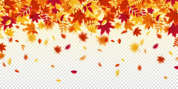 Fallende Herbstblätter. Natur Hintergrund mit rotem, orangefarbenem, gelbem Laub. Fliegendes Blatt. Saisonverkauf. Vektorillustration. — Stockvektor