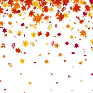 Sonbaharda uçan ve düşen yaprakların arka planında kırmızı, turuncu ve sarı renkli mevsimlik yapraklar var. Doğa temaları, mevsimlik satışlar, posterler için mükemmel. Vektör illüstrasyonu.