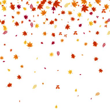 Sonbaharda uçan ve düşen yaprakların arka planında kırmızı, turuncu ve sarı renkli mevsimlik yapraklar var. Doğa temaları, mevsimlik satışlar, posterler için mükemmel. Vektör illüstrasyonu.