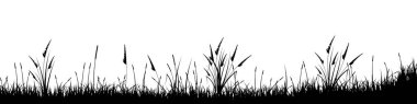 Otlu çayır silueti, ovadaki bitkiler. Panoramik yaz çimleri, otlar, çeşitli otlar. Bitki sınırı, çerçeve elementi. Siyah yatay pankartlar. Vektör illüstrasyonu.