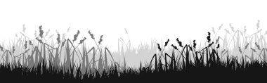 Otlu çayır silueti, ovadaki bitkiler. Panoramik yaz çimleri, otlar, çeşitli otlar. Bitki sınırı, çerçeve elementi. Siyah yatay pankartlar. Vektör illüstrasyonu.