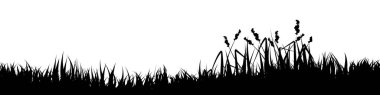 Otlu çayır silueti, ovadaki bitkiler. Panoramik yaz çimleri, otlar, çeşitli otlar. Bitki sınırı, çerçeve elementi. Siyah yatay pankartlar. Vektör illüstrasyonu.