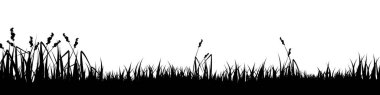 Otlu çayır silueti, ovadaki bitkiler. Panoramik yaz çimleri, otlar, çeşitli otlar. Bitki sınırı, çerçeve elementi. Siyah yatay pankartlar. Vektör illüstrasyonu.