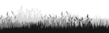 Otlu çayır silueti, ovadaki bitkiler. Panoramik yaz çimleri, otlar, çeşitli otlar. Bitki sınırı, çerçeve elementi. Siyah yatay pankartlar. Vektör illüstrasyonu.