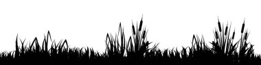 Otlu çayır silueti, ovadaki bitkiler. Panoramik yaz çimleri, otlar, çeşitli otlar. Bitki sınırı, çerçeve elementi. Siyah yatay pankartlar. Vektör illüstrasyonu.
