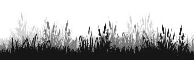 Otlu çayır silueti, ovadaki bitkiler. Panoramik yaz çimleri, otlar, çeşitli otlar. Bitki sınırı, çerçeve elementi. Siyah yatay pankartlar. Vektör illüstrasyonu.