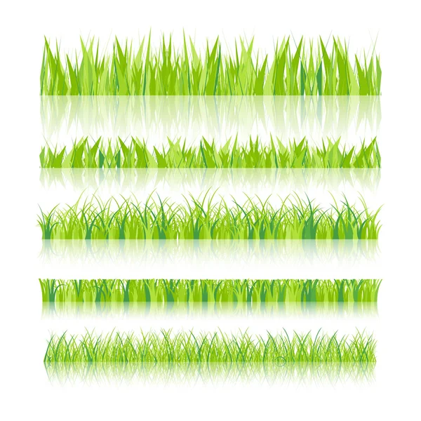 Vector illustration. Set with realistica grass. Nature. — Stockový vektor