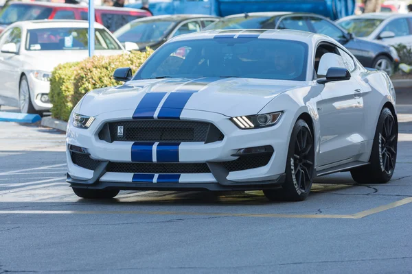 Ford Mustang Shelby Gt350 — Stok fotoğraf