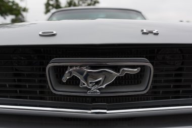 Ford Mustang midilli amblemi