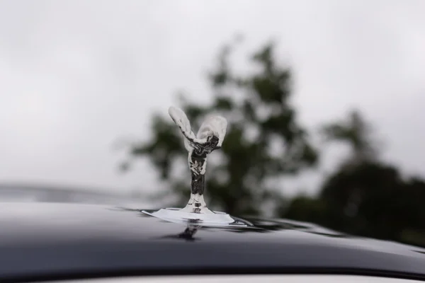 Rolls Royce Capuche fantôme Esprit d'extase ornement — Photo
