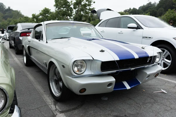 Ford Mustang Shelby — Stockfoto