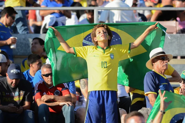 Niño fanático del fútbol con bandera durante Copa América Centenario — Foto de Stock