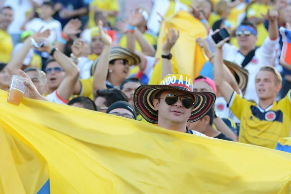 Aficionados al equipo durante Copa América Centenario — Foto de Stock