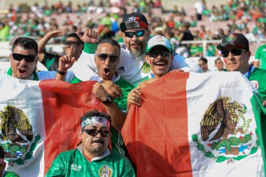 Futbol taraftarları Copa America Centenario sırasında