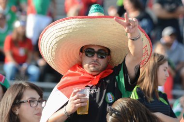 Copa America Centenario sırasında futbol fan