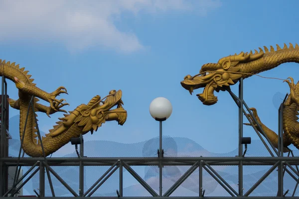 Chinesischer Drache — Stockfoto