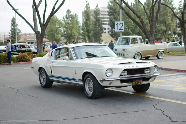 Ford Mustang Shelby GT350 classic car on display — Stock Photo, Image