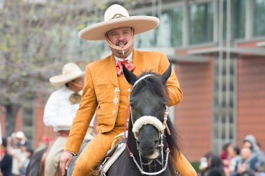 Meksika-Amerika binici