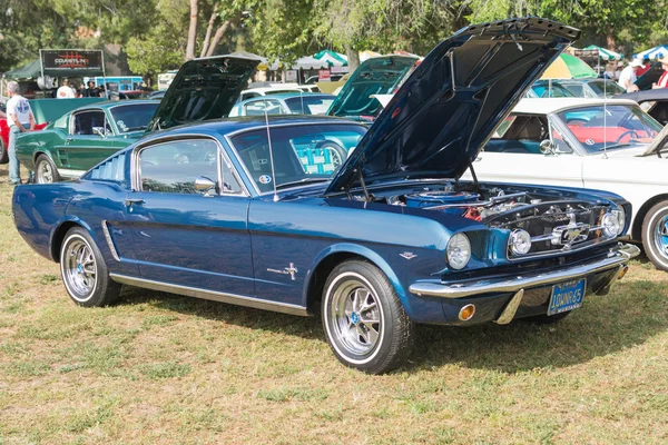 Ford Mustang car on display