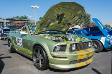 Ford Mustang custom