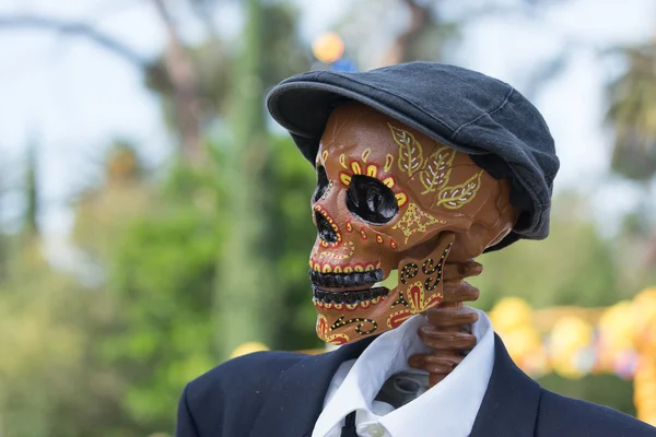 Skeleton Sculpture on display — Stock Photo, Image