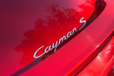 Porsche Cayman S ayrıntı ekranda